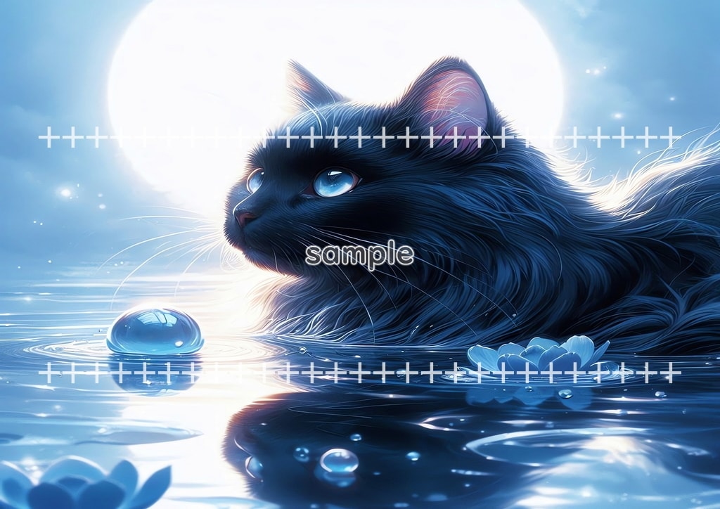 Bathing cat Original picture image material copyright free 66P Bathing_cat_24