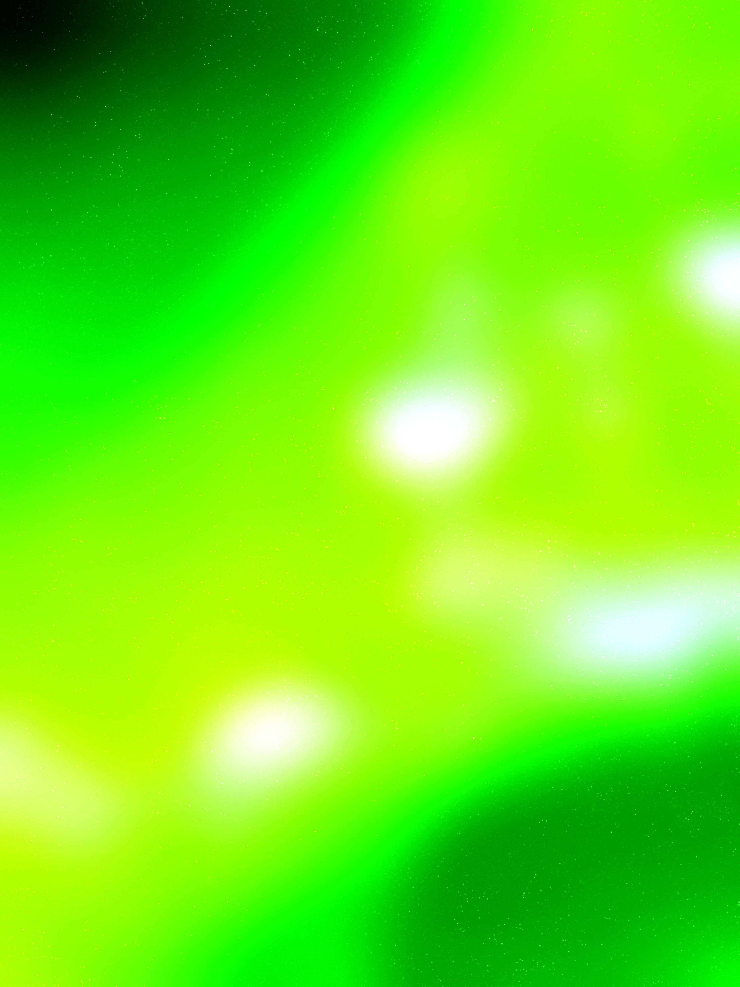 Зеленое лесное дерево 01 417