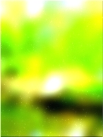 绿色森林树 01 202