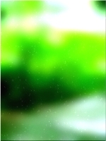 हरे भरे जंगल का पेड़ 01 206
