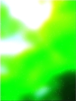 Зеленое лесное дерево 01 425