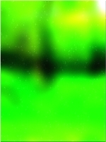 हरे भरे जंगल का पेड़ 01 432