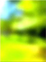 हरे भरे जंगल का पेड़ 02 254