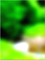 녹색 숲 tree 02 307
