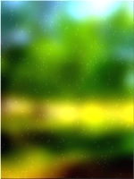 हरे भरे जंगल का पेड़ 02 318