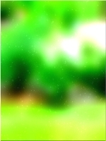 Зеленое лесное дерево 02 321
