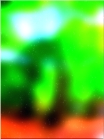 हरे भरे जंगल का पेड़ 02 33
