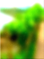 Зеленое лесное дерево 02 354