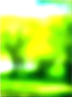 Зеленое лесное дерево 02 371