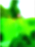 Зеленое лесное дерево 02 463