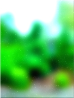 绿色森林树 02 472