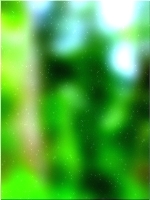 绿色森林树 02 49