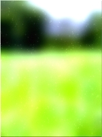 绿色森林树 03 116
