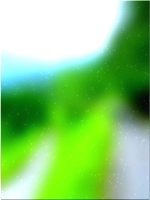 Зеленое лесное дерево 03 131
