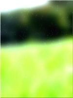 绿色森林树 03 170