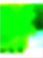 شجرة الغابة الخضراء 03 270