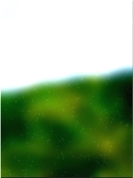 녹색 숲 tree 03 372
