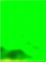 녹색 숲 tree 03 415