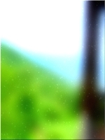 شجرة الغابة الخضراء 03 73
