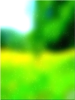 绿色森林树 03 88