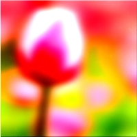 200x200 Clip art Flower 372