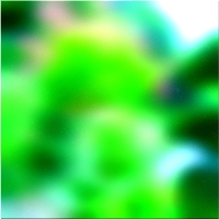 200x200 قصاصة فنية شجرة الغابة الخضراء 01 11