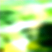 200x200 Картинки Зеленое лесное дерево 01 111