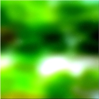 200x200 Clip art Arbre de la forêt verte 01 138