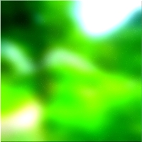 200x200 Clip art Arbre de la forêt verte 01 141