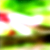 200x200 Картинки Зеленое лесное дерево 01 148