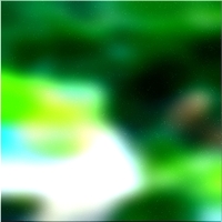 200x200 Картинки Зеленое лесное дерево 01 158