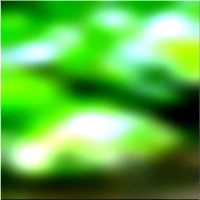 200x200 Clip art Arbre de la forêt verte 01 16
