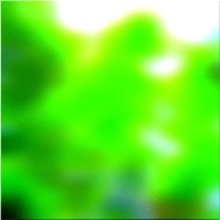 200x200 Clip art Árbol forestal verde 01 160