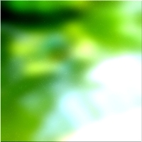 200x200 Картинки Зеленое лесное дерево 01 178