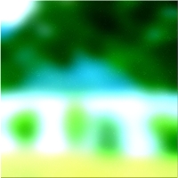 200x200 Картинки Зеленое лесное дерево 01 185