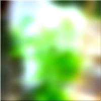 200x200 Картинки Зеленое лесное дерево 01 19