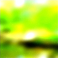 200x200 Картинки Зеленое лесное дерево 01 202