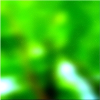 200x200 Картинки Зеленое лесное дерево 01 234