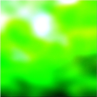 200x200 Картинки Зеленое лесное дерево 01 316