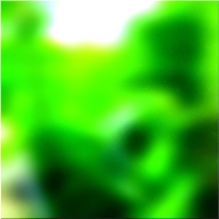 200x200 Картинки Зеленое лесное дерево 01 32