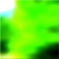 200x200 Картинки Зеленое лесное дерево 01 346