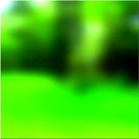 200x200 Clip art Arbre de la forêt verte 01 361