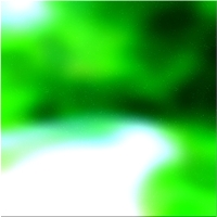 200x200 Clip art Arbre de la forêt verte 01 379