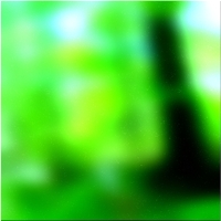 200x200 Картинки Зеленое лесное дерево 01 38
