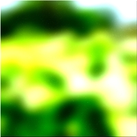 200x200 Картинки Зеленое лесное дерево 01 4