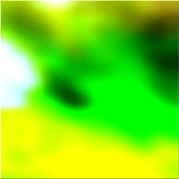 200x200 Картинки Зеленое лесное дерево 01 408