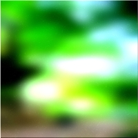200x200 Clip art Arbre de la forêt verte 01 41