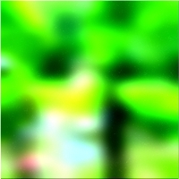 200x200 قصاصة فنية شجرة الغابة الخضراء 01 9