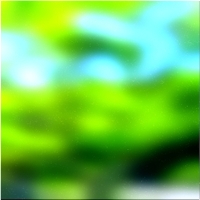 200x200 Clip art Green forest tree 02 102