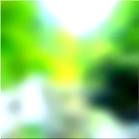 200x200 قصاصة فنية شجرة الغابة الخضراء 02 106